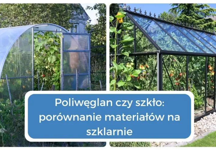 Szkło czy poliwęglan? Wybierz mądrze do swojego projektu!