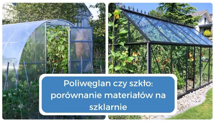 Szkło czy poliwęglan? Wybierz mądrze do swojego projektu!